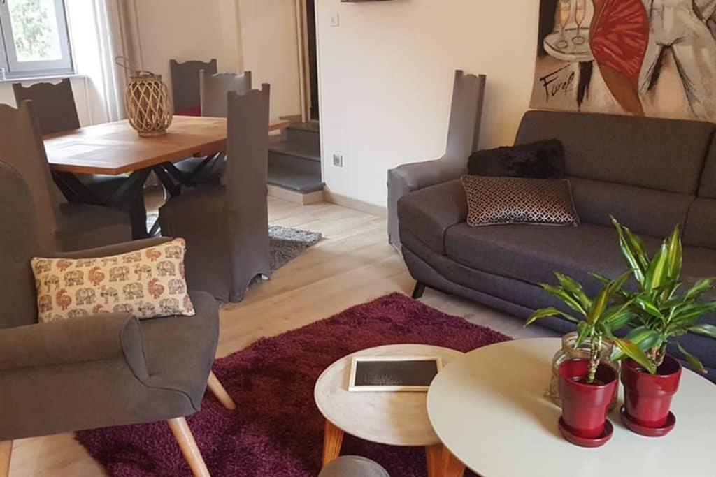 Appartement Cosy Au Pied Du Tourmalet Campan Dış mekan fotoğraf