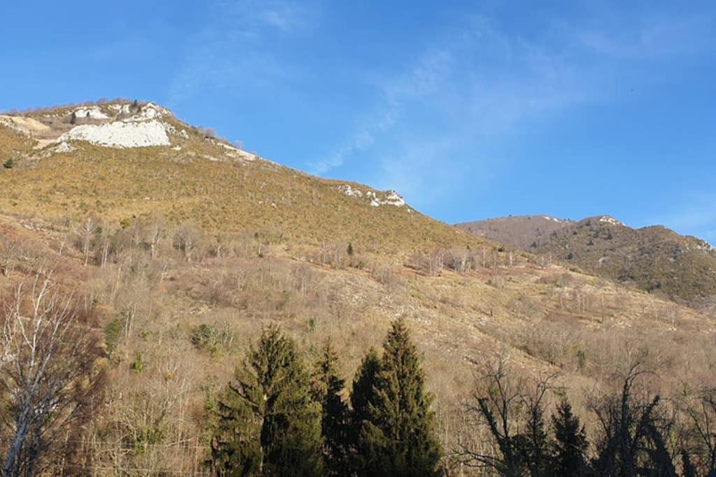 Appartement Cosy Au Pied Du Tourmalet Campan Dış mekan fotoğraf